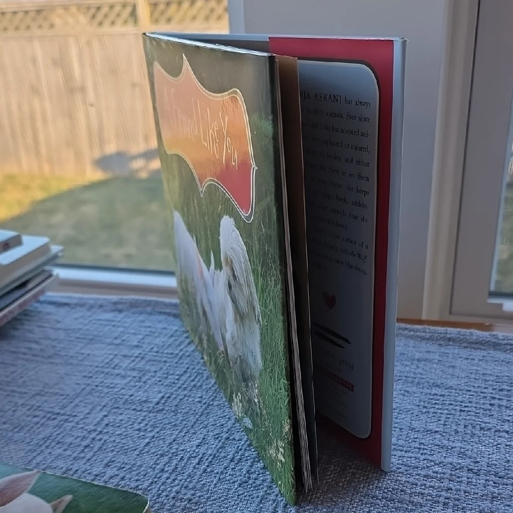 A Friend Like You Book